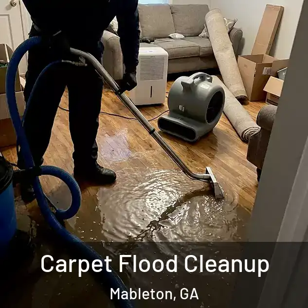  Carpet Flood Cleanup Mableton, GA
