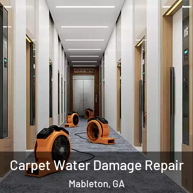  Carpet Water Damage Repair Mableton, GA