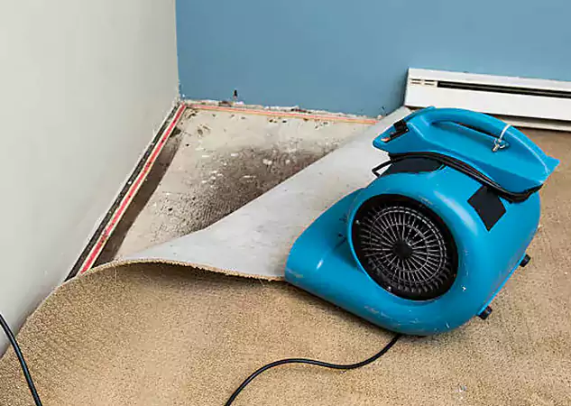 Your Water Damage Experts in Mableton, GA