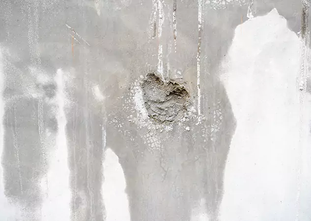 Your Mold Mitigation Solutions Partner in Mableton, GA