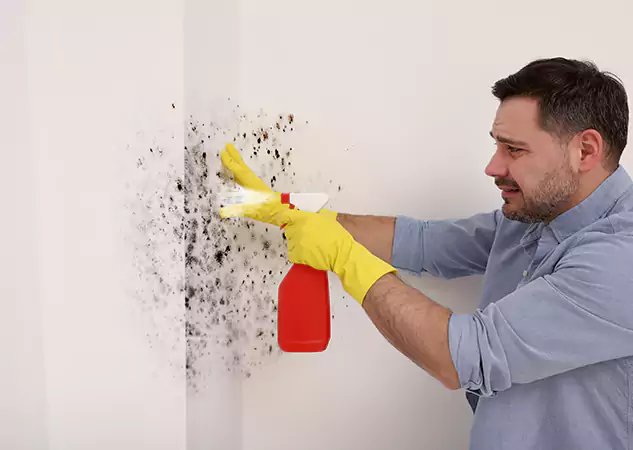 Your Water Mold Fire Restoration Partner in Mableton, GA