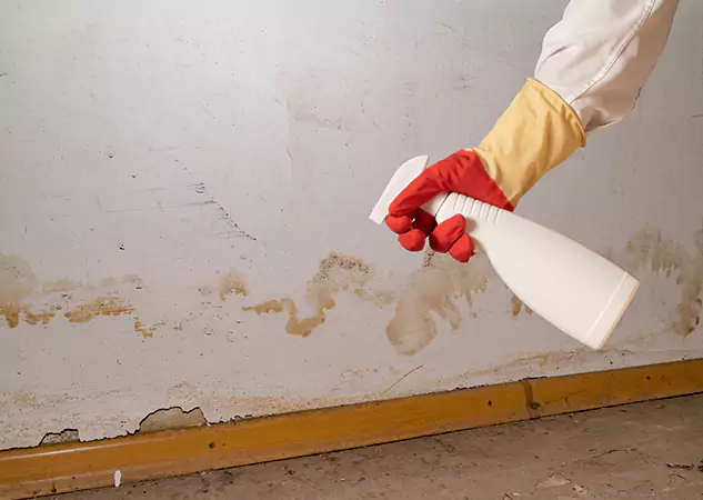 Your Water Restoration and Mold Remediation Specialists in Mableton, GA