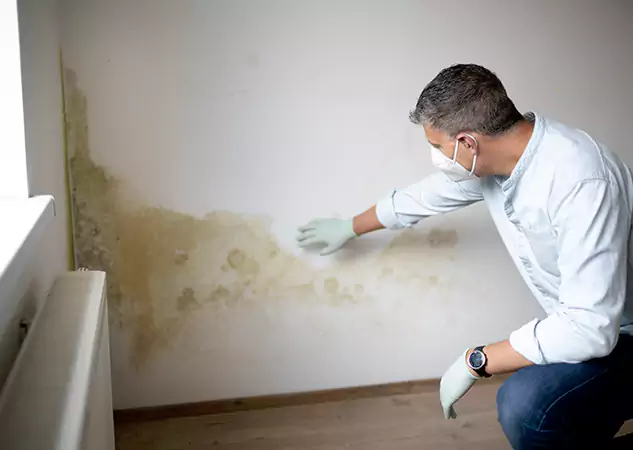 Reach Our Remediation Team Before Damage Grows in Mableton, GA!