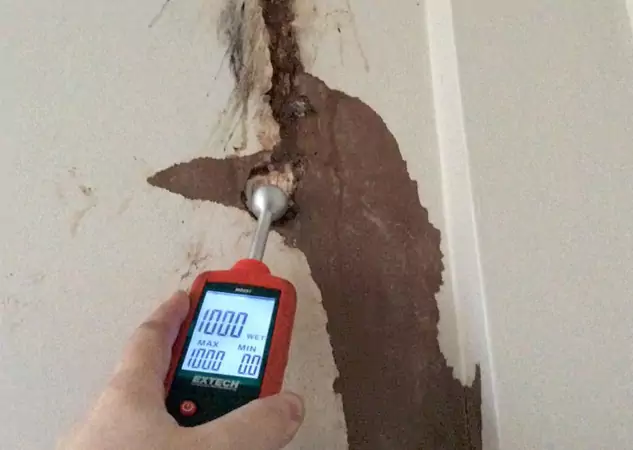 Your Water Damage Assessment Partner in Mableton, GA