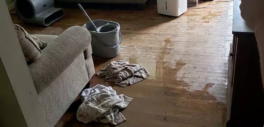 Professional Basement Water Remediation Services in Mableton, GA