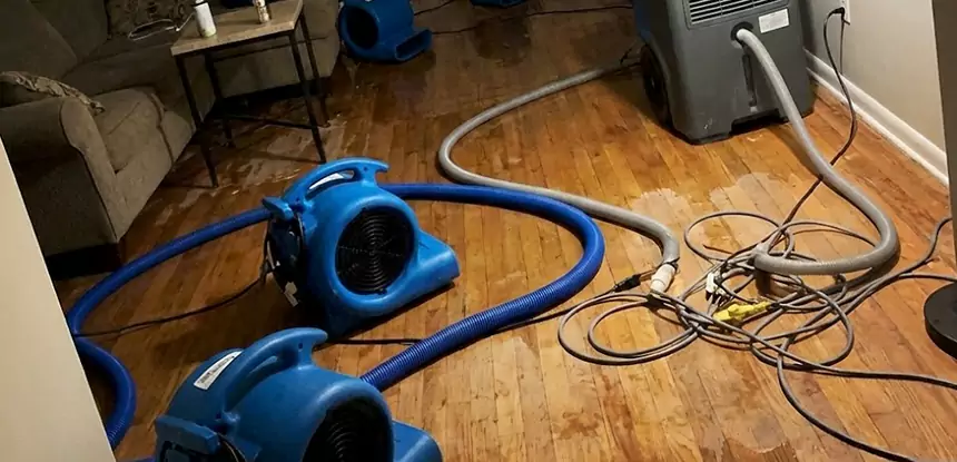 Basement Flood Restoration Services in Mableton