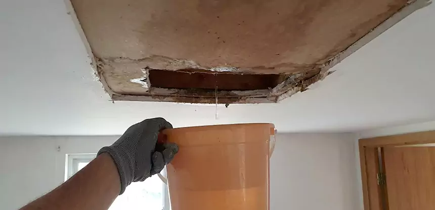 Ceiling Mold Repair Mableton