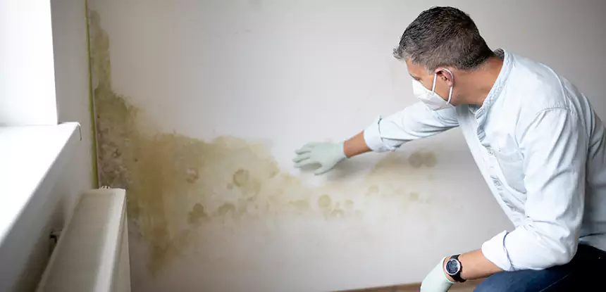 Mold and Water Damage Repair in Mableton