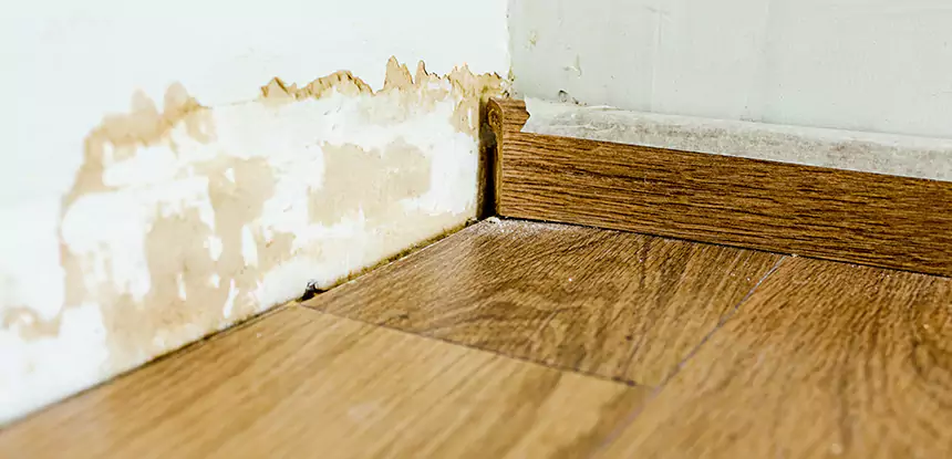 Professional Fix Water Damaged Wood Services in Mableton, GA