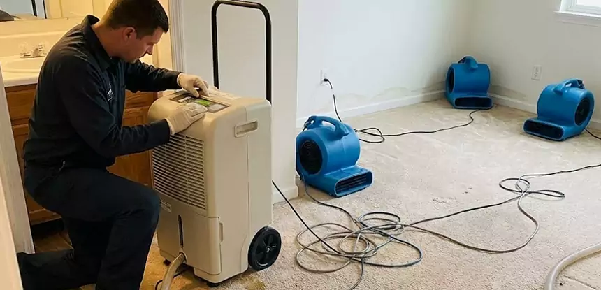 Professional Wet Carpet Removal Services in Mableton, GA