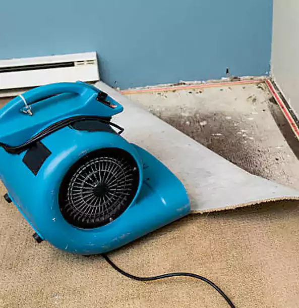 Why Mableton Trusts Mableton Restoration Pro for Carpet Flood Recovery?