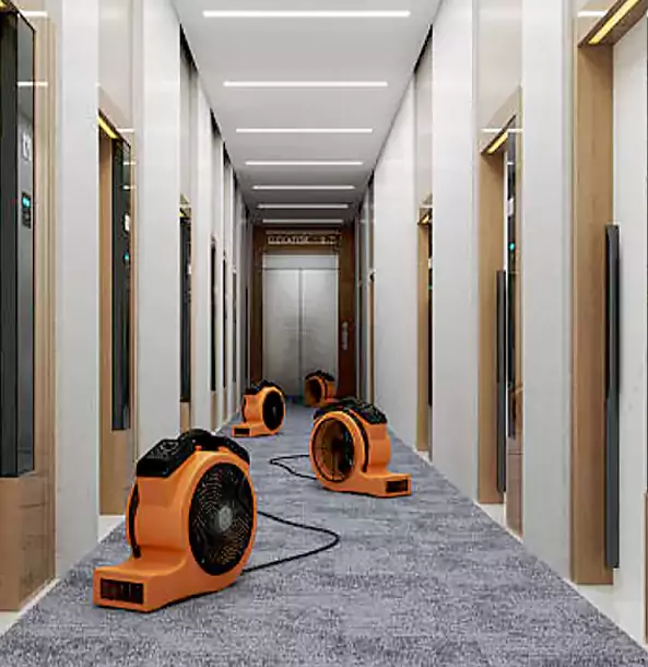 Why Mableton Trusts Mableton Restoration Pro?