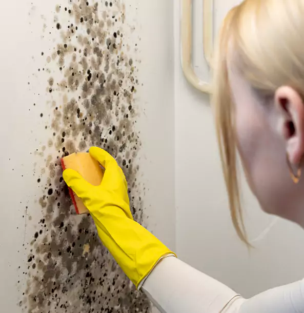 Why Mableton Restoration Pro Leads Mold Remediation in Mableton?