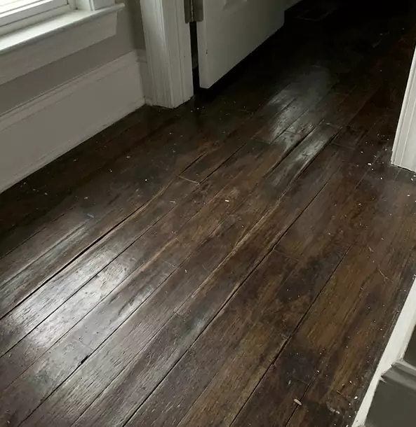 Why Mableton Homeowners Trust Mableton Restoration Pro to Fix Water Damaged Wood?