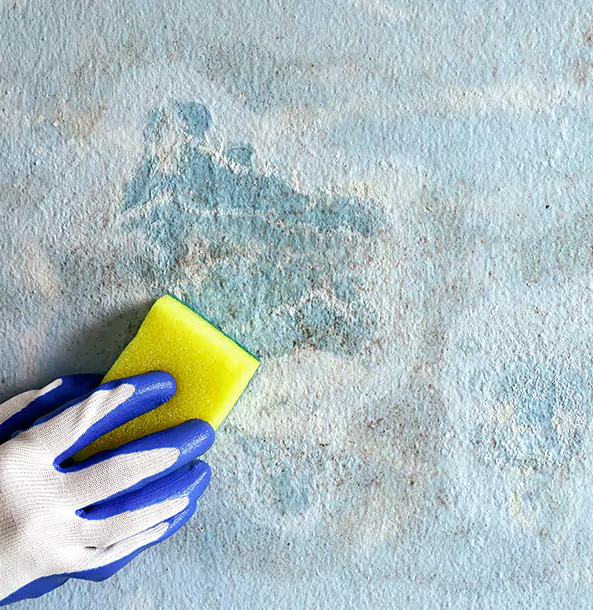 Why Mableton Restoration Pro Is the Right Choice in Mableton, GA?
