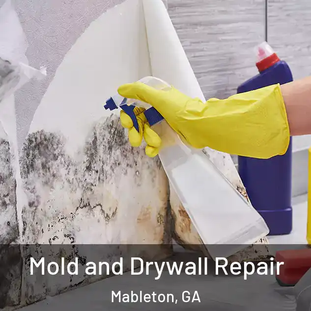  Mold and Drywall Repair Mableton, GA