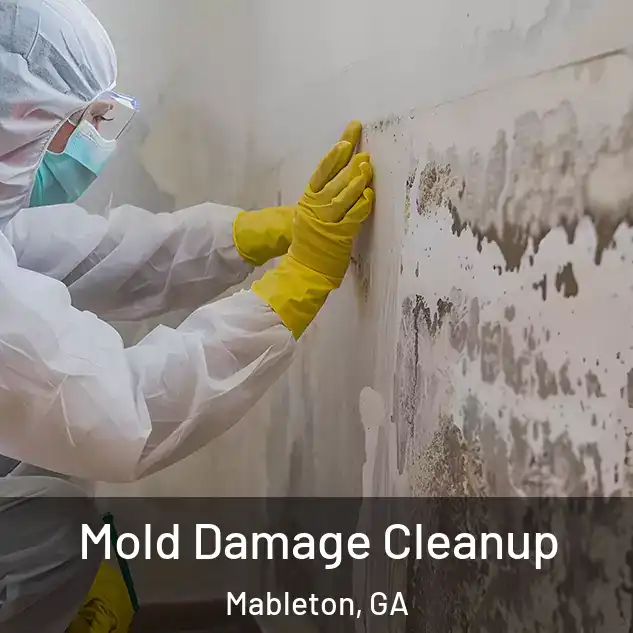  Mold Damage Cleanup Mableton, GA