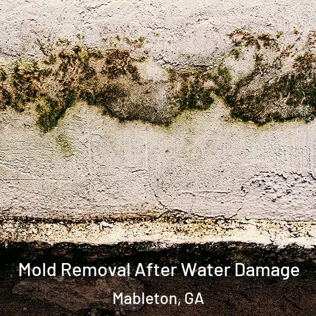  Mold Removal After Water Damage Mableton, GA