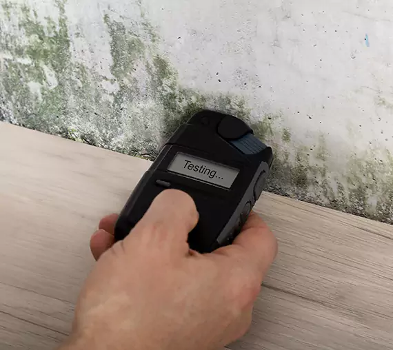 Mold Remediation Service Mableton