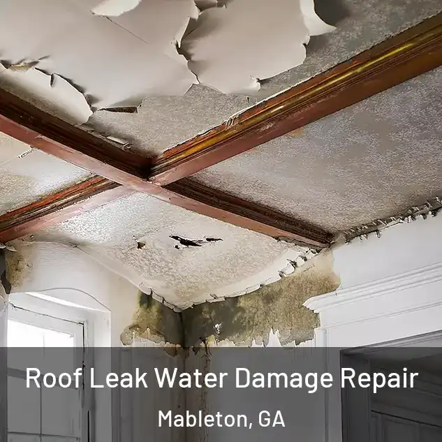  Roof Leak Water Damage Repair Mableton, GA