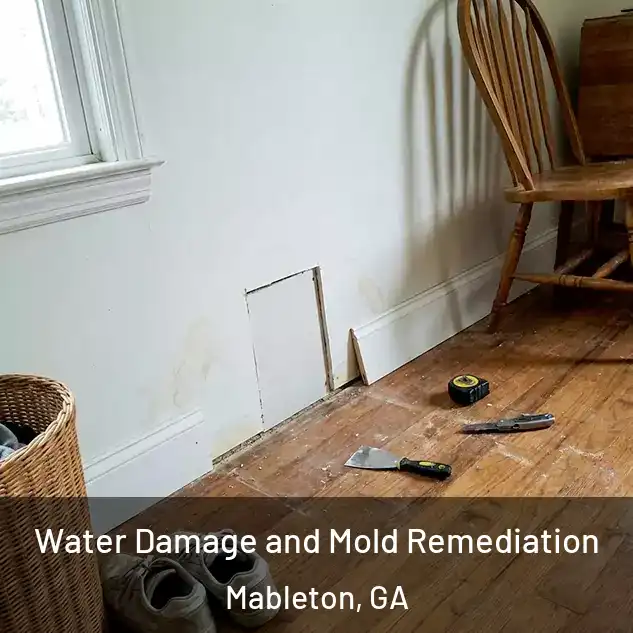  Water Damage and Mold Remediation Mableton, GA