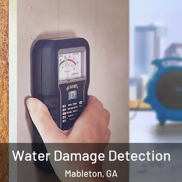  Water Damage Detection Mableton, GA