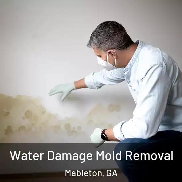  Water Damage Mold Removal Mableton, GA