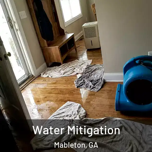  Water Mitigation Mableton, GA