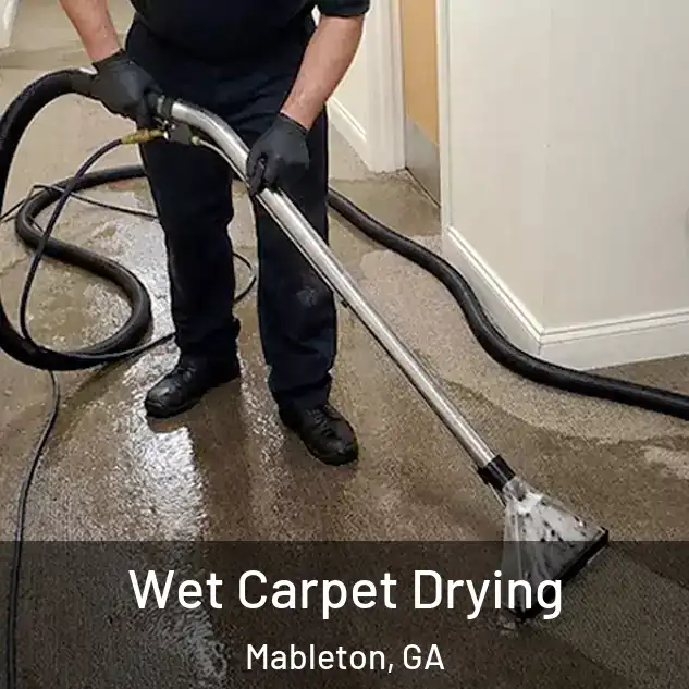  Wet Carpet Drying Mableton, GA